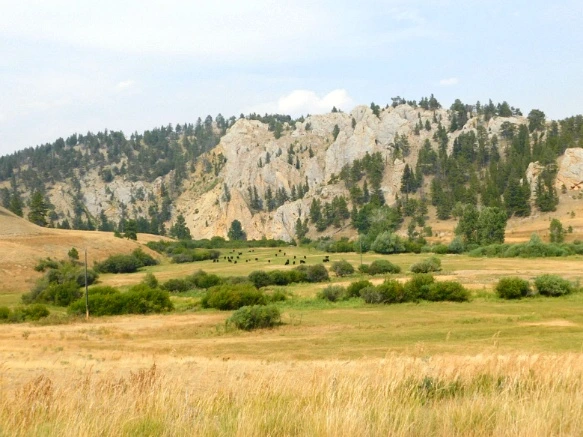 99C7C833599E4F450F4EF5