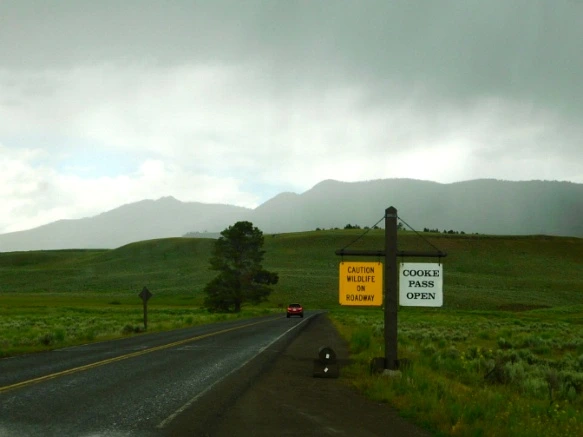 9993F4335B3AF0322CD707