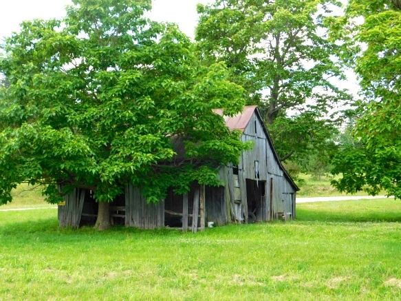 2273E05059484C5C0DA466