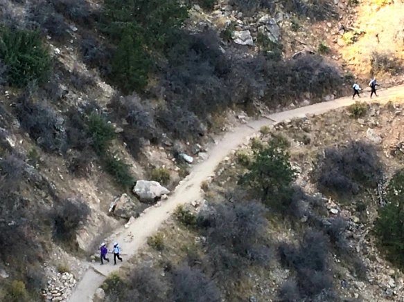 993EC3335A1F58FC26FBD3