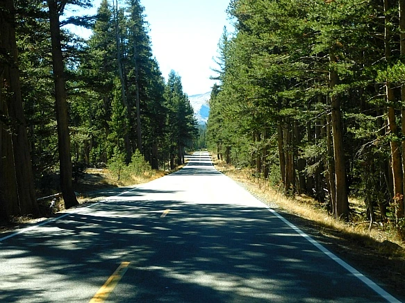 99A034335BD66E2432A689