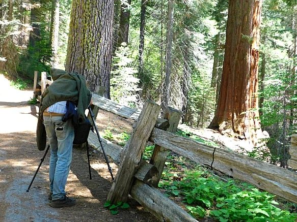 252DC63C57736C3A30BEAB