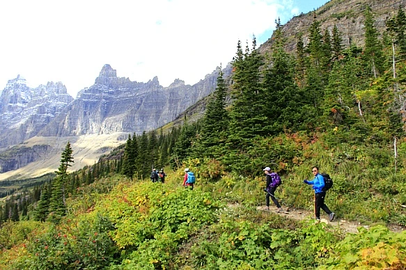 995EEB4B5BA30F4230A374