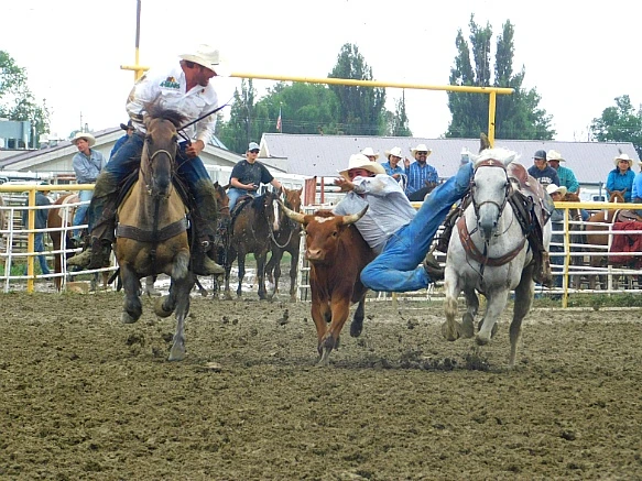 9904A73E5B7F7E8613E076