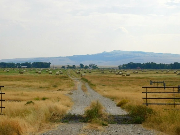 99374333599E4F3A07B417