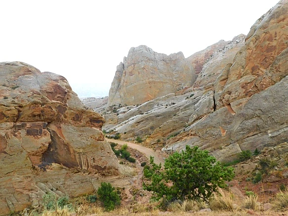 99C4FC485BC2C2DB02AC6A