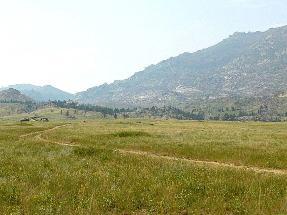 9958E4455B765419170F55