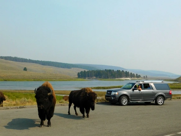 9944943359AF0FF0255BF9