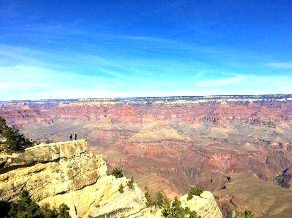 99066C465C4A47E2209106