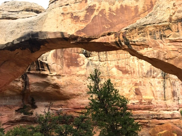 99A1E33359B74FEF2591EA