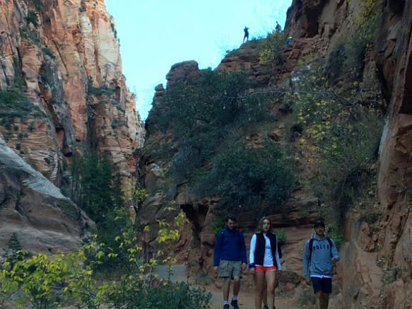 9902D5335A1CB9040CDAE4