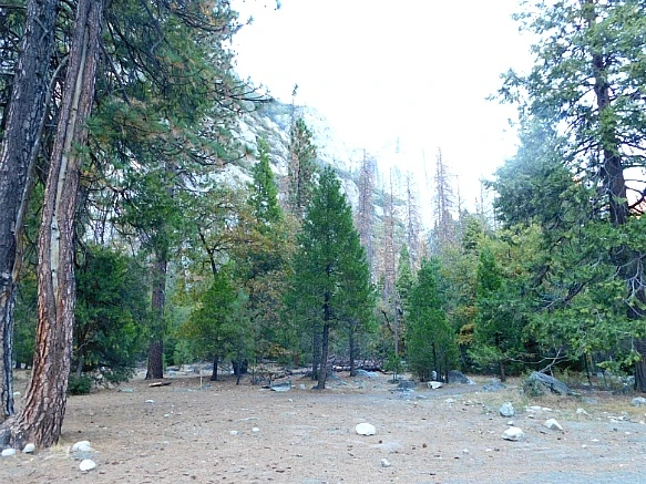 99630F375BD914E105FE2D