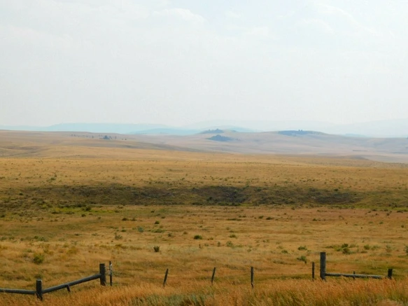 99E49D33599E4F4A0E9C12