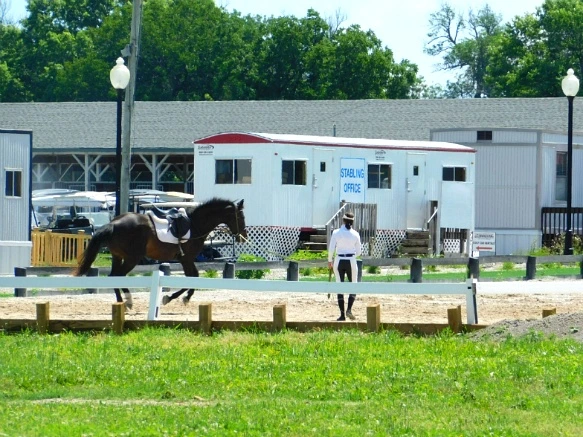 237DB533597D170317E6E0