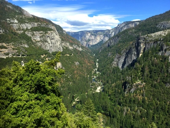 211D973457736F9821E1C4