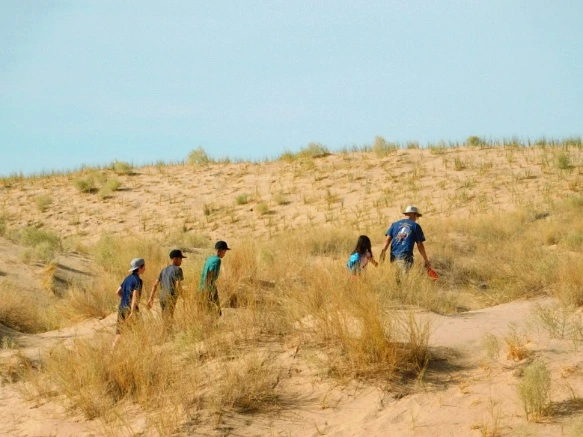 99EFC2335A206EB136A45D