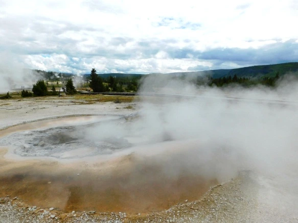 99BFC8425B39A5E835B50C