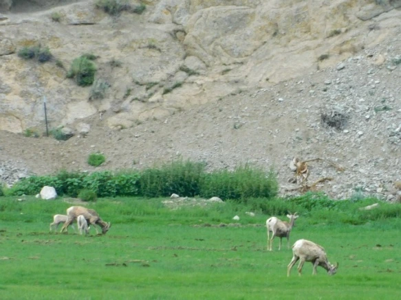 9974613E5B2F293A3403F3