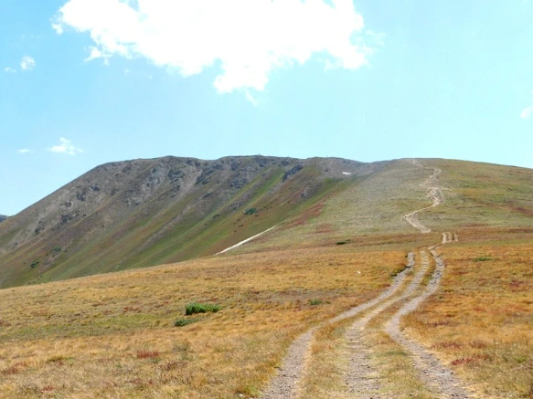 996AF8505B6BA3222659CB