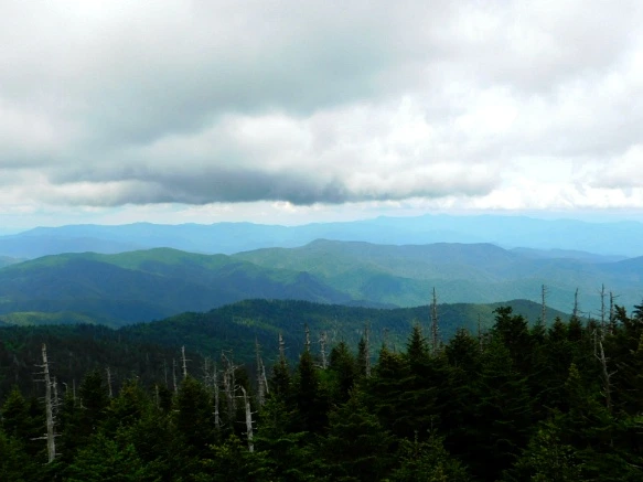 2534F64F59509867267FB9