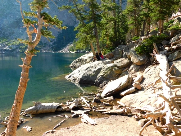 99510F4D5B72670429DA23