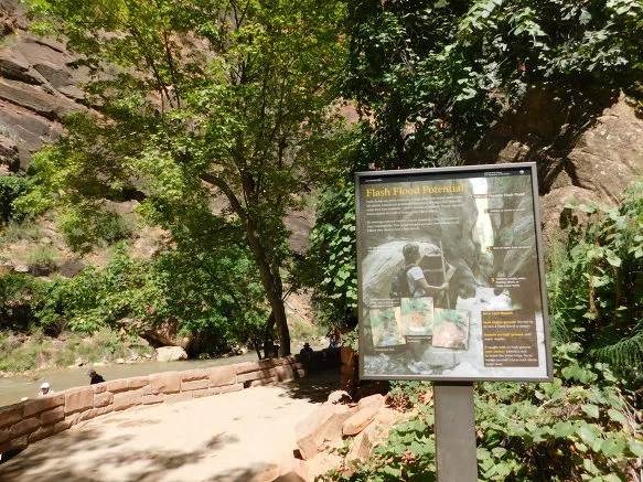 9958AD3359BB12E134547C