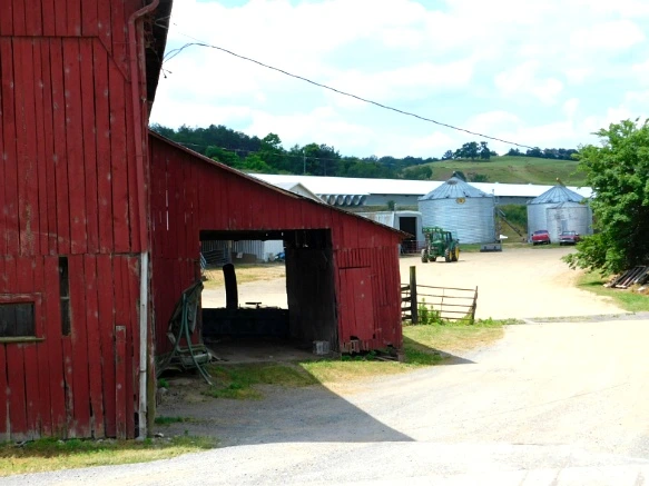 2628583D594C7734016916