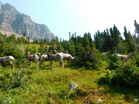 99C9F53359A2483E2CDE09