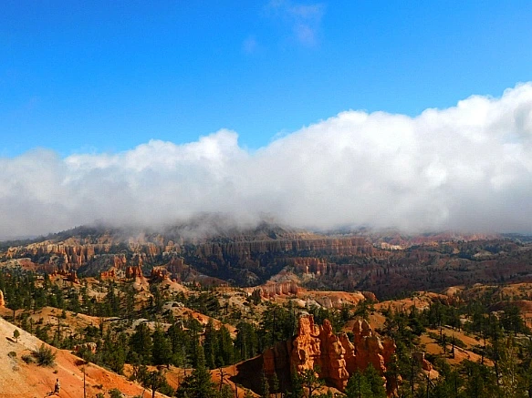 9956364D5BC56AFC2AA884