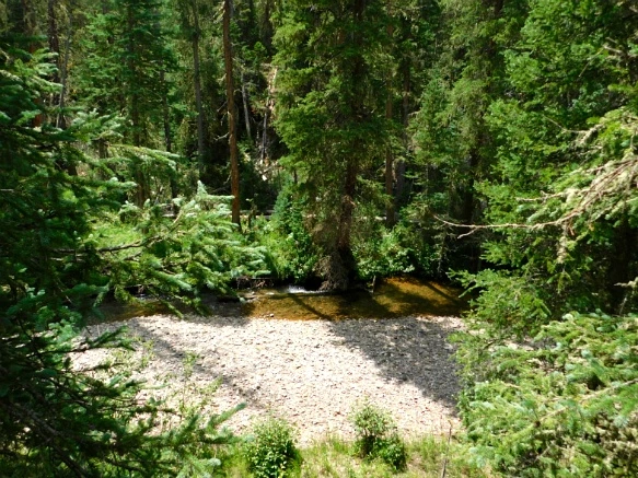 9907A7485B6E69F61611A7