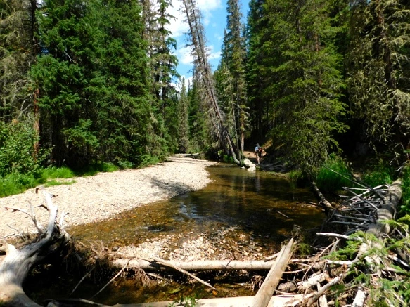 99495B495B6E69BC232FDC