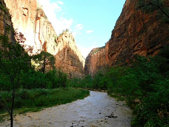 9996A84E5BC681CC136AFF