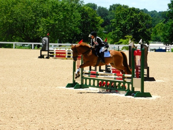 26F6C833597D194136A73C