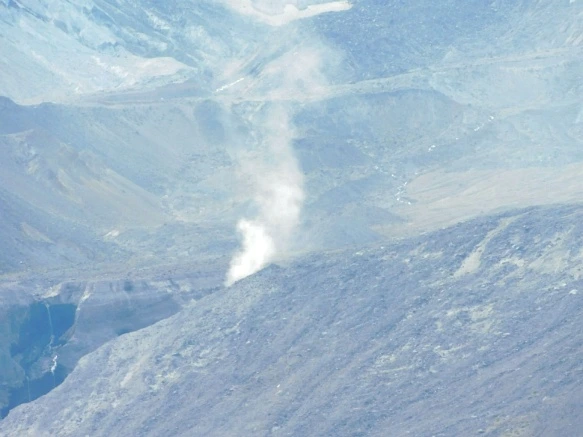 990CDD3359A4AE2D1394CC