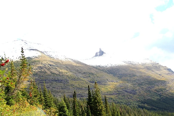 999A744B5BA30F442D0A25