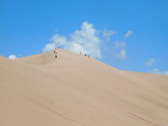 99F508485B69204832CB9D