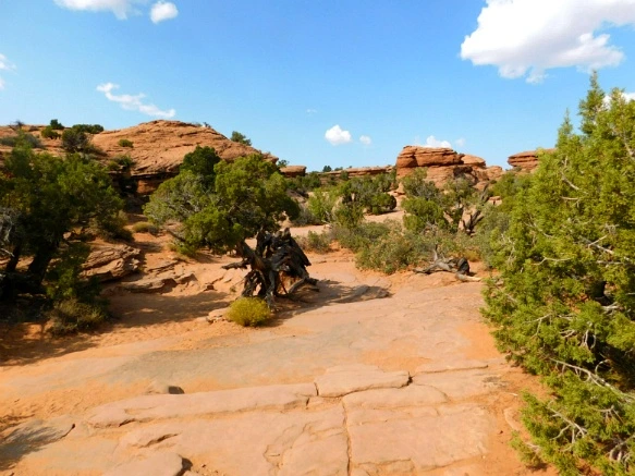 9966B83359B31A6F12667F