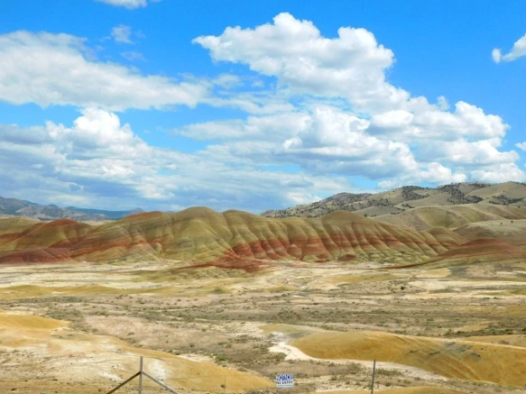 99CD824F5B2DE46625C307