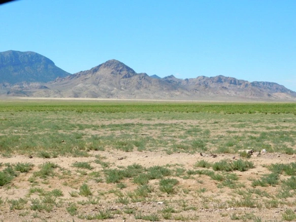 246E543D576F44DC248E67