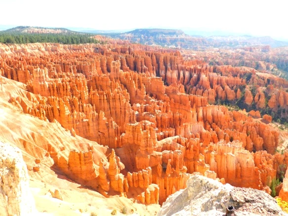 2567D63B5769D7320D0471