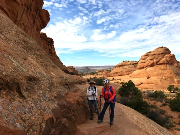 99C8CF335A1113A30C104C