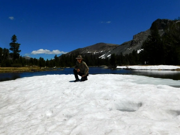 27302D43577218DC149D55