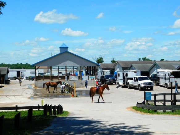 224A9E33597D19491E0C29