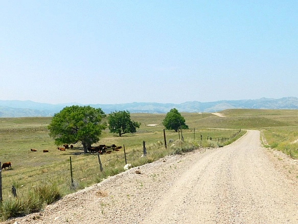 9919EB455B7655D82C881D