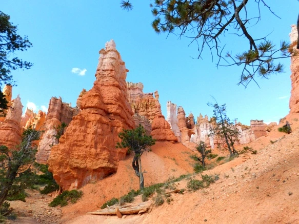 997F153359B878E50E51A2