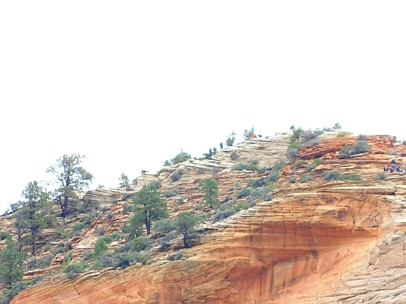 993C4E4C5BC685951D110B