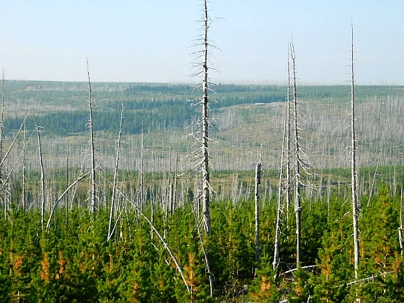 9975F2485B837A17243E1D