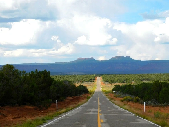 995CA13359BDC237262468