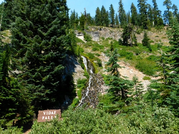 9907933359A62F5F2AA372