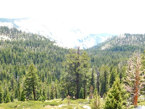 2429083F5772191A213CD4